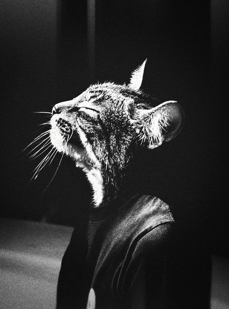 Ксения Март | Санкт-Петербург