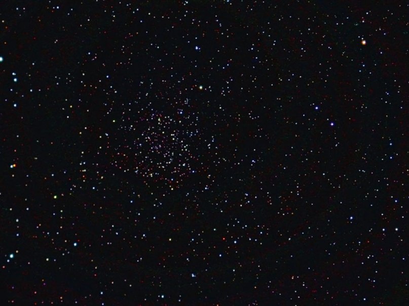 Андрій Шелестюк | 