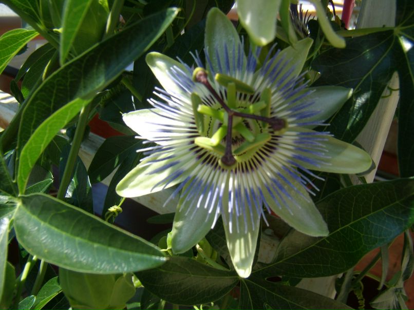 Татьяна Кирова | Ростов-на-Дону