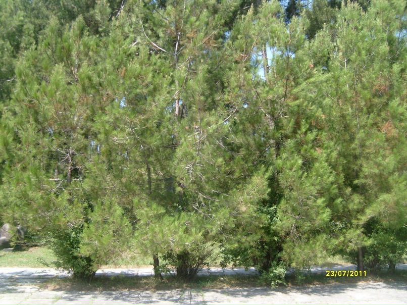 Александра Шишигина | Москва