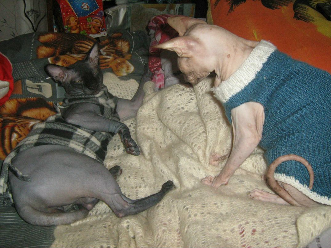 Кристина Сенчугова ♥^√V''^√\√V''^√\♥ | Владимир