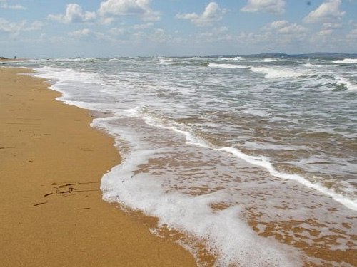 Полина Ларсон | Санкт-Петербург