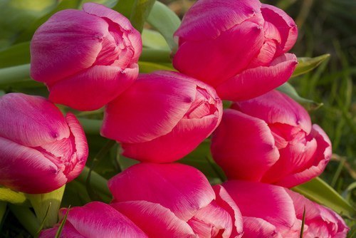 Оля Фомина | Липецк