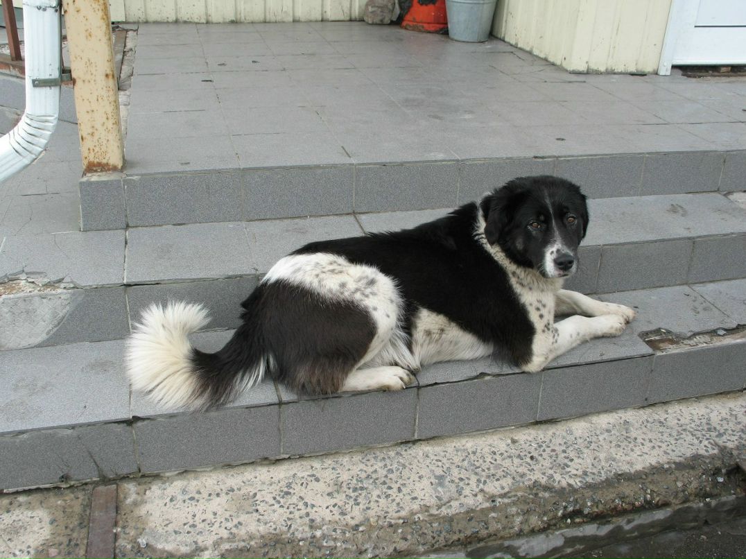 Катя Шапиро | Москва