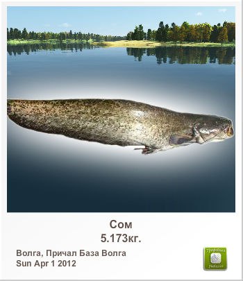 Андрій Чечель | Ивано-Франковск
