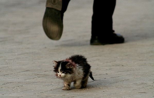 Юля Котт | Москва