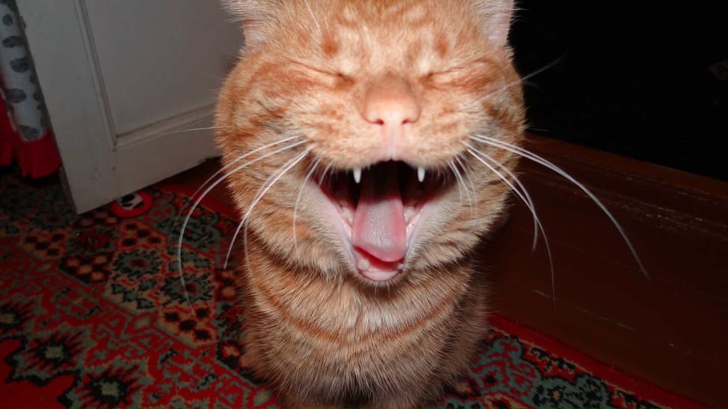 Эльдар Камалов | Мелеуз