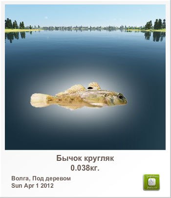 Николай Семенов | Санкт-Петербург