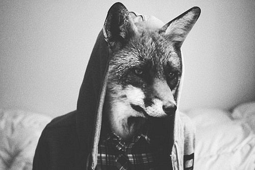 Mini Mika | Гомель