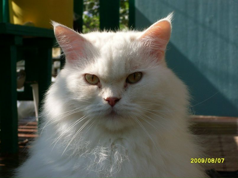 Дмитрий Очкин | Саратов