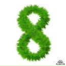 №10, Nikolai Soloviev