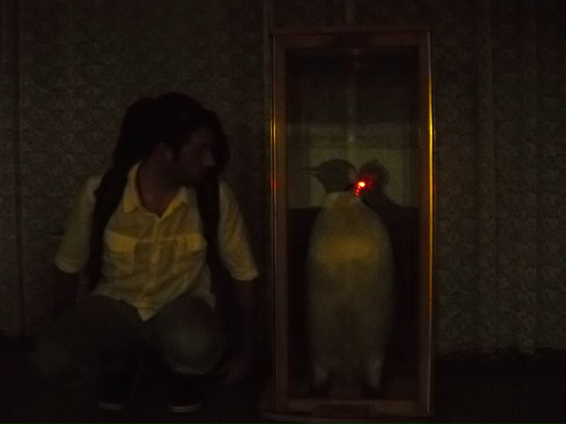 Антон Готлиб | Киев