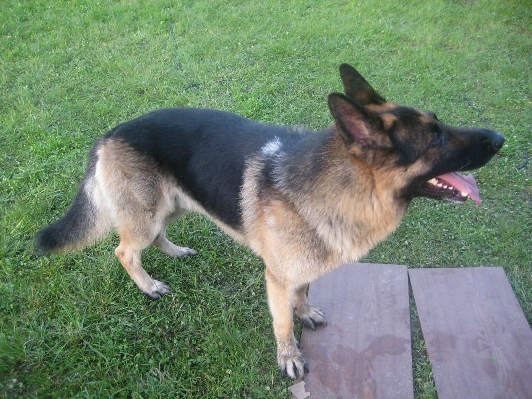 Дима Климакин | Москва