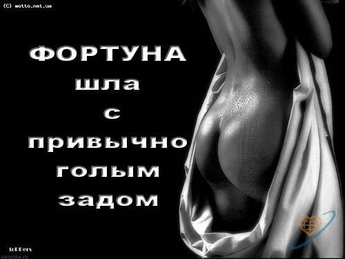 №123, Алексей Михайлов, 41 год, Кингисепп №123, Алексей Михайлов, 41 год, Кингисепп