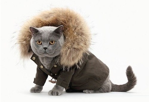 Дима Несмеев | Москва