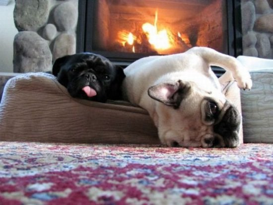 Adam Holozsi | Budapest