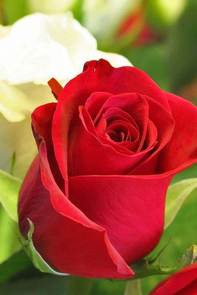 Виктория Шугаева | Днепр (Днепропетровск)