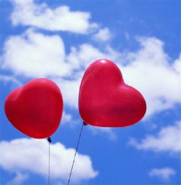 Елена Женихова | Санкт-Петербург