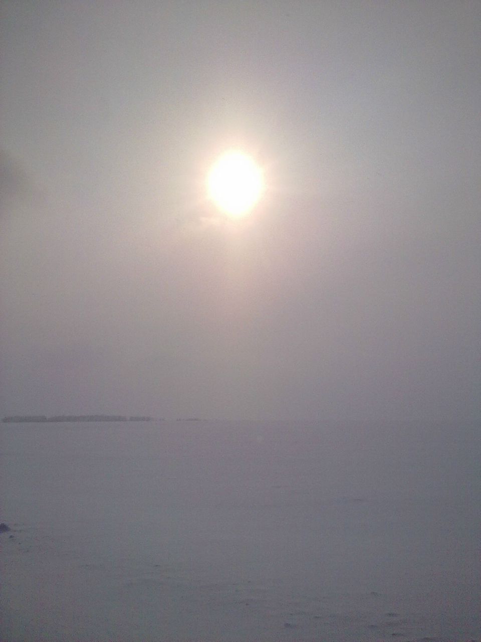 Алеся Фомичёва | Самара