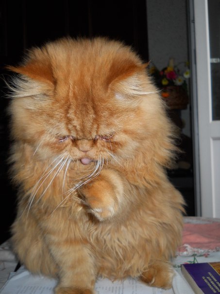 №4, Александр Московчук, Хмельницкий №4, Александр Московчук, Хмельницкий