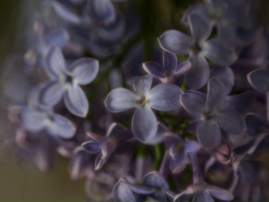 Марина Фризен | Первоуральск