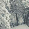 Инна Зима | Когалым