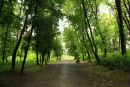 Фотография Поліна Кошмарюк