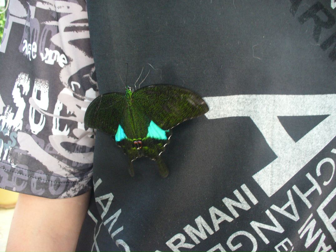 Светлана Сизых | Краснодар