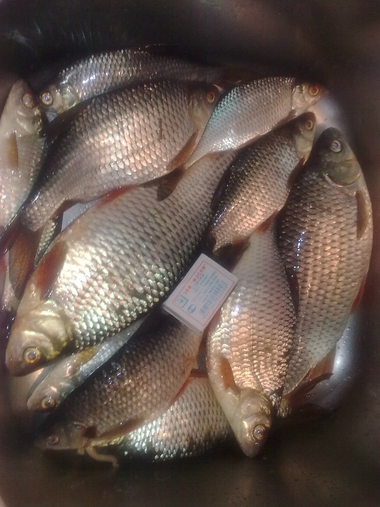 Михаил Данилов | Москва