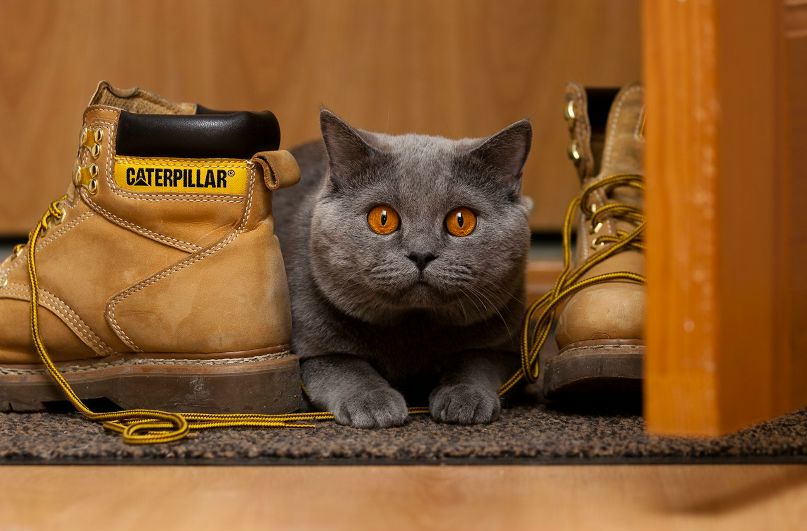 Виталий Ефремов | Владивосток