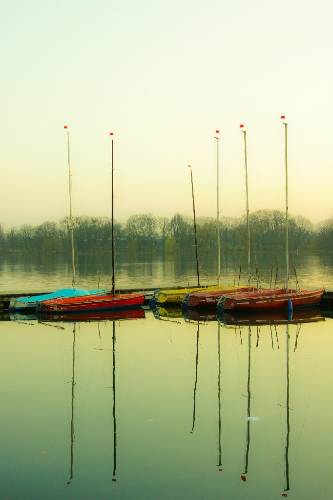 Максим Маус | 