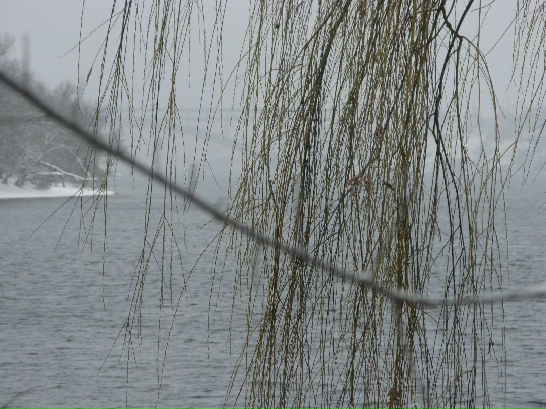 Валерий Башмаков | Dąbrowa Górnicza