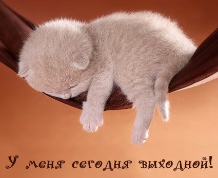 Татьяна Емелина фотография #1