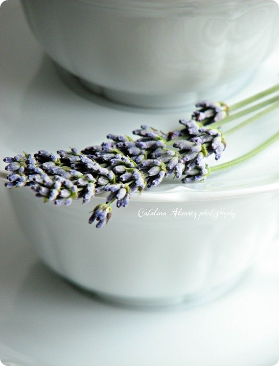 Dasha Sister | Орёл (хутор)