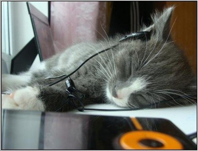 Максим Арсеник | Красноярск