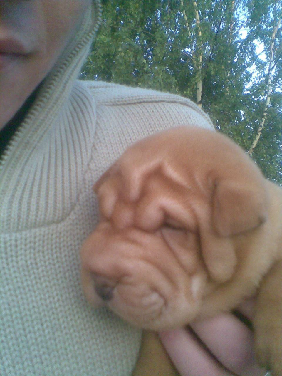 Serega Ilin | Калининград