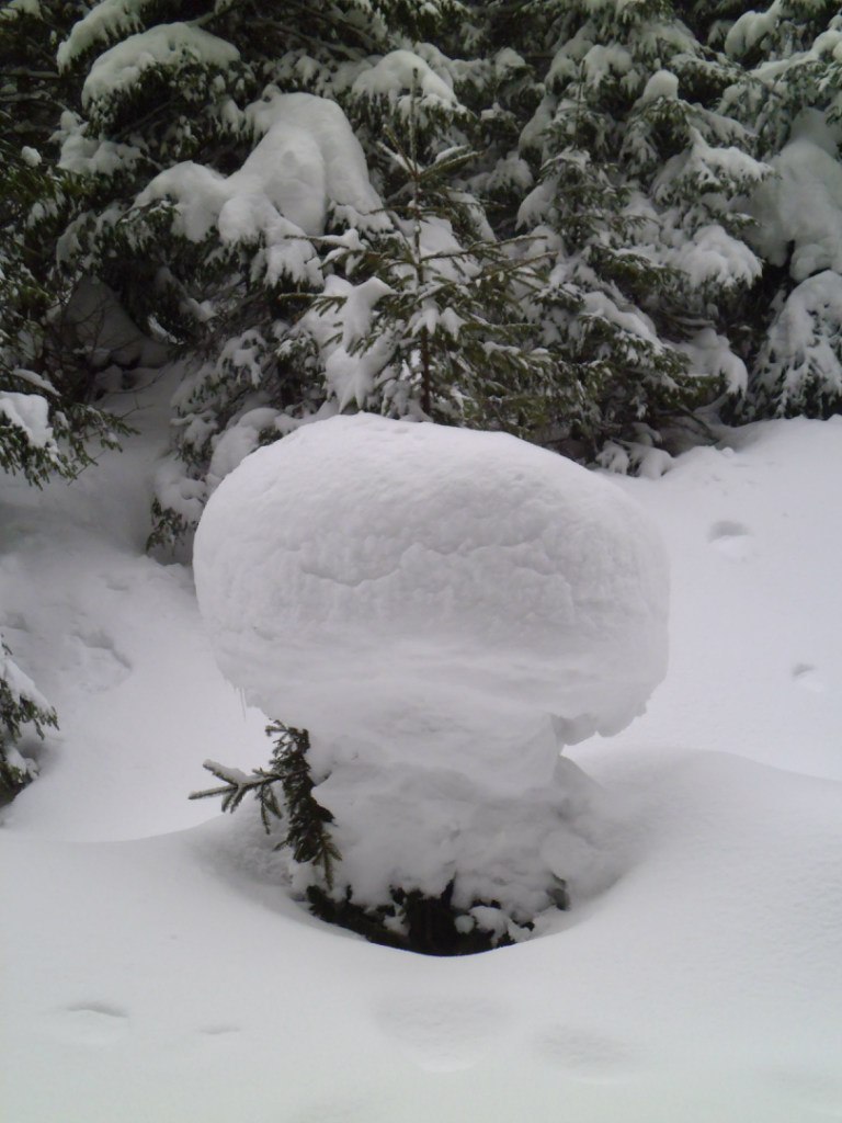 Сергей Бобырь Judomaster | Чернигов