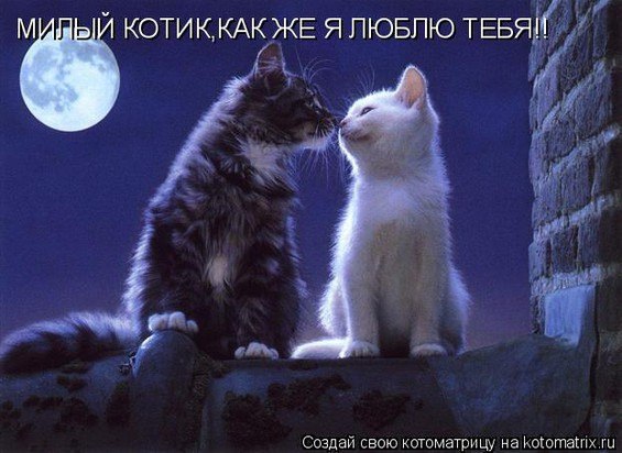 Ольга Орлова | Санкт-Петербург