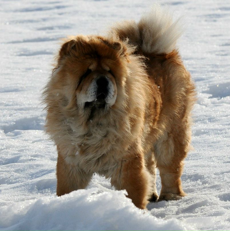 Nikolay Rutov | Сыктывкар