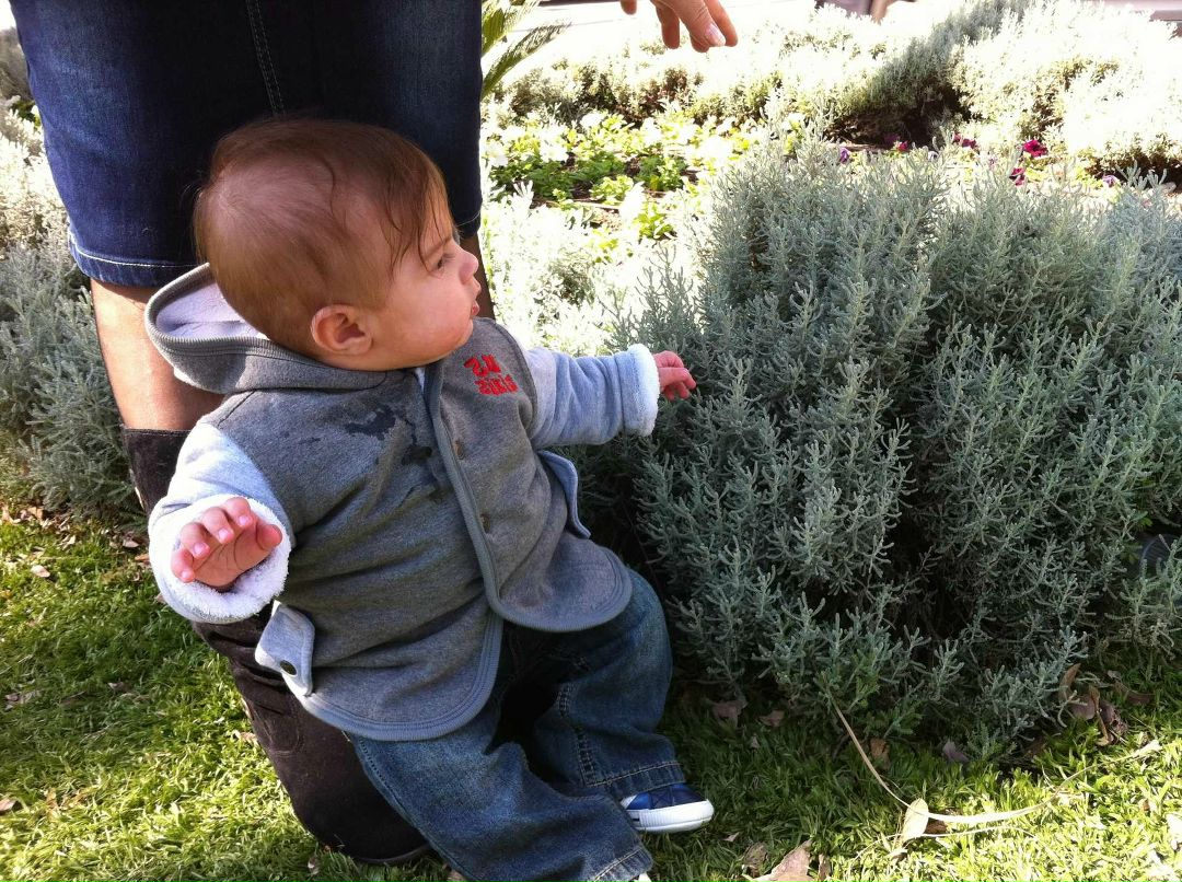 Ксюша Черникова *קרן* | Afula