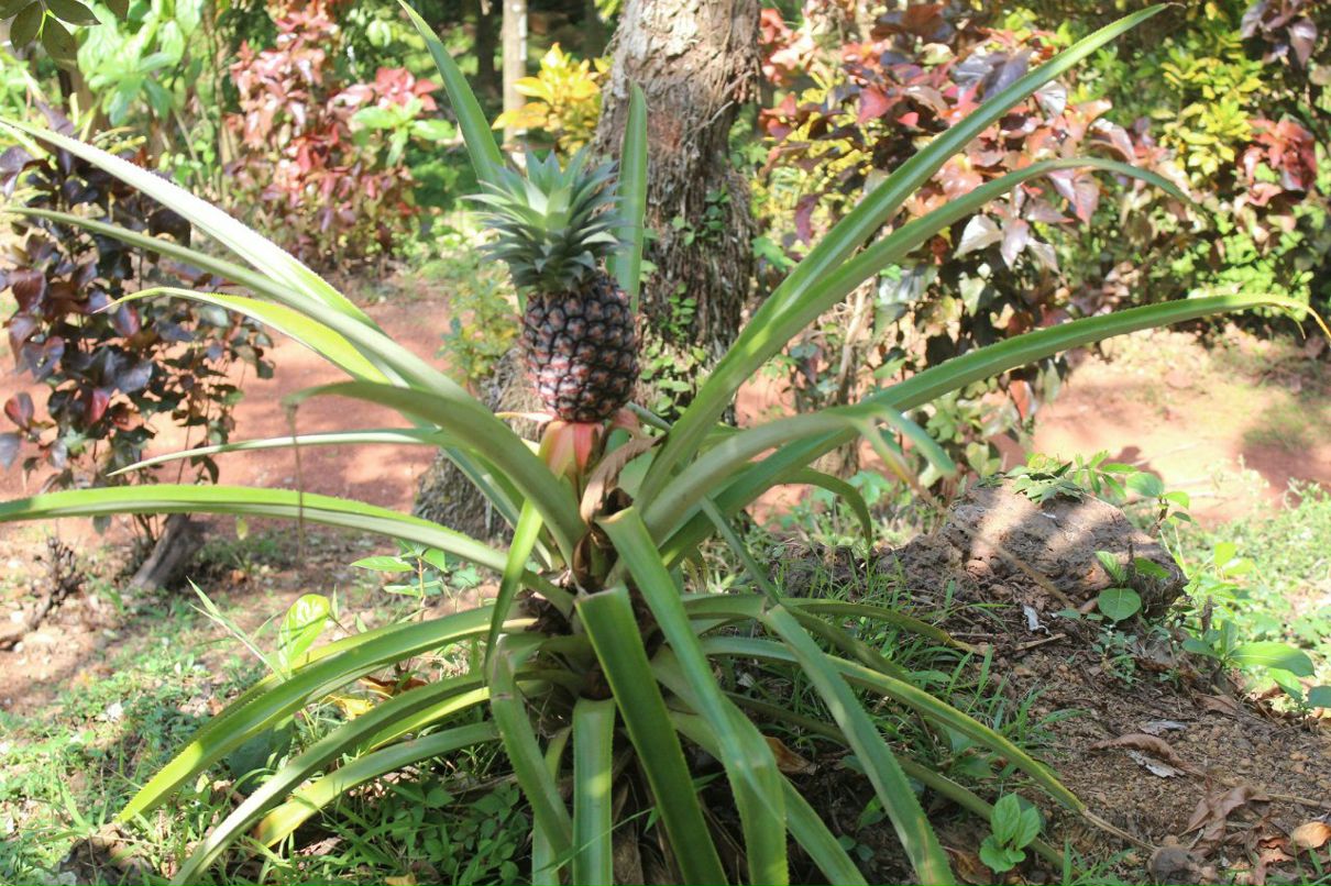 Екатерина Шепелева | Москва