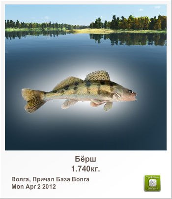 Сергей Лисин | Киев