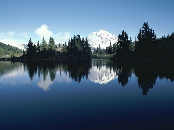 №31, Наталья Гажа, Харьков №31, Наталья Гажа, Харьков