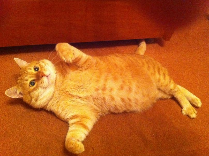 №4, Nadya Kokoliya, Москва, Россия №4, Nadya Kokoliya, Москва, Россия