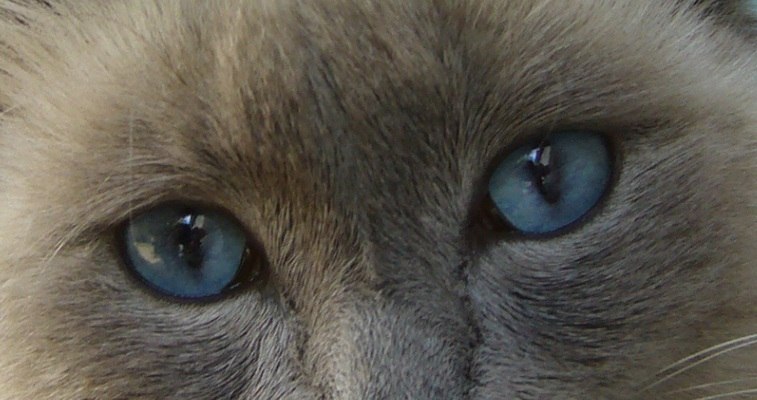 Светлана Капранова | Мурманск