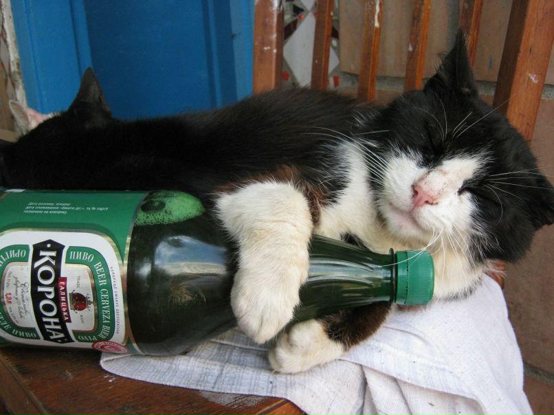 Иван Кучеров | Кривой Рог