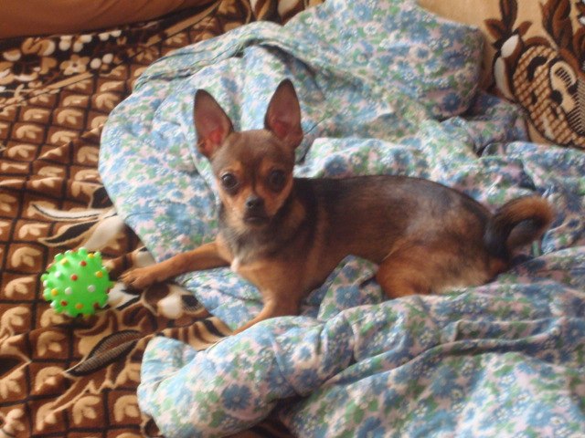 Людмила Южакова Леонидовна | Березовский