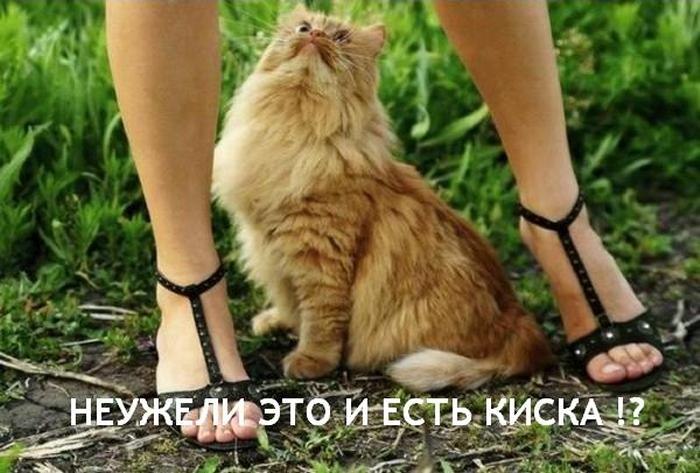 Виктория Козунити | Одесса