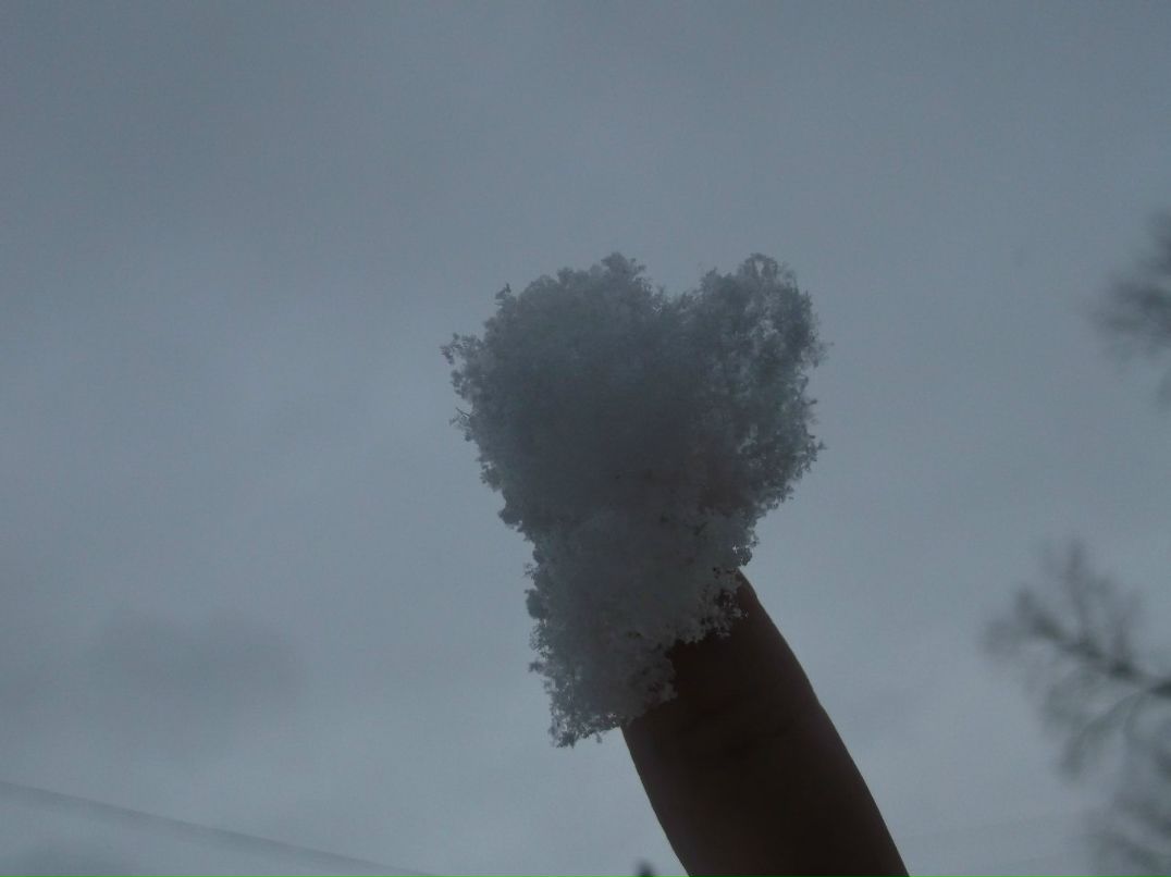 Алсу Сушинцева | Казань