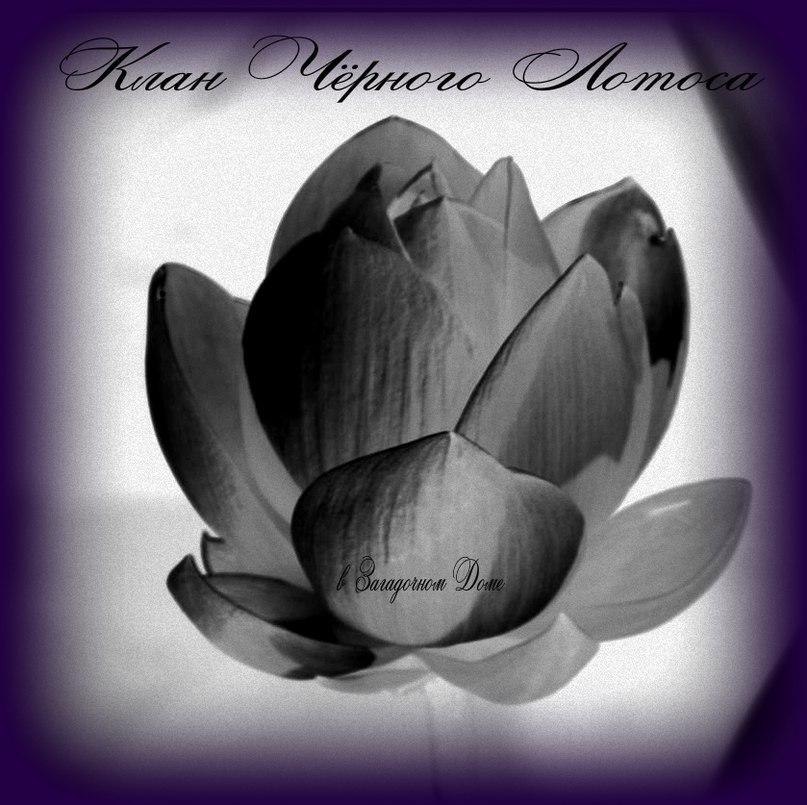 Галя Клейменова | Черновцы